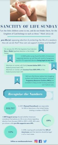 SOL Infographic