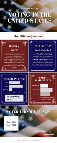 Voting in the United States Infographic (1)