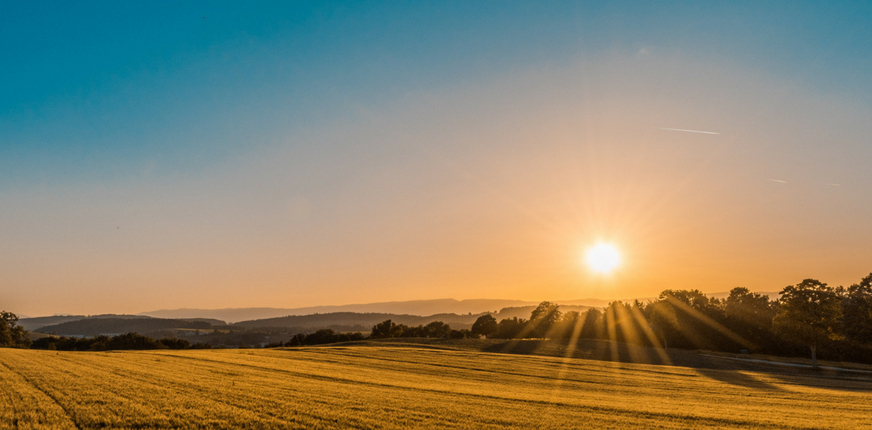 Make Hay While the Sun Shines