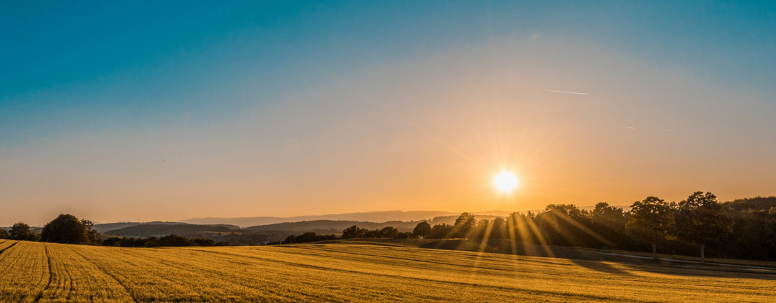 Make Hay While the Sun Shines